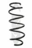 SPIDAN 86836 Coil Spring